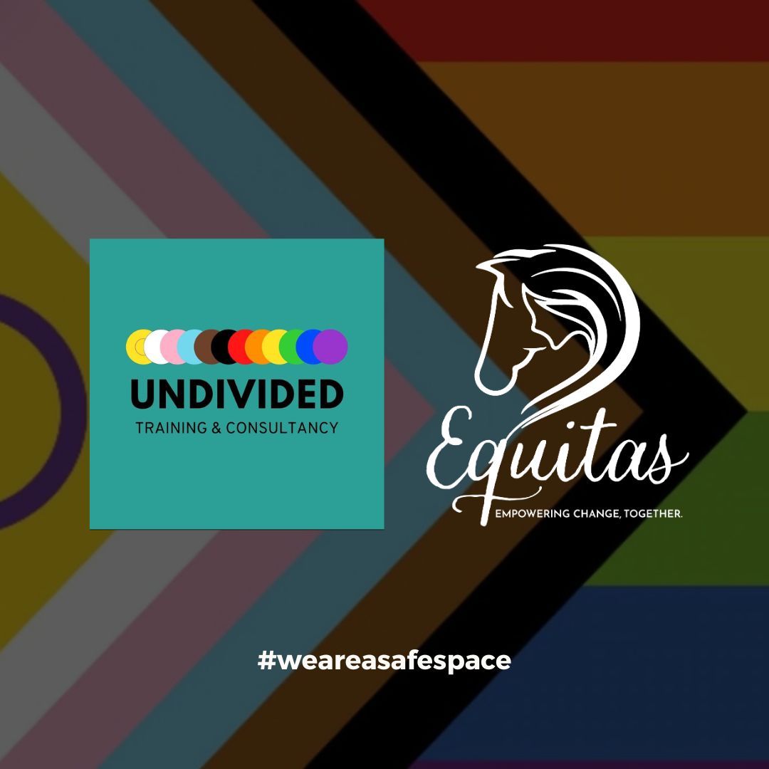 Equitas And Undivided Consultancy Agency Join Forces To Launch Groundbreaking Pride Campaign 8326