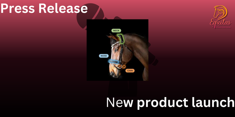 Press Release: Revolutionary r3vobanD Bridle Pad Now Available at DSE Equestrian Outfitters